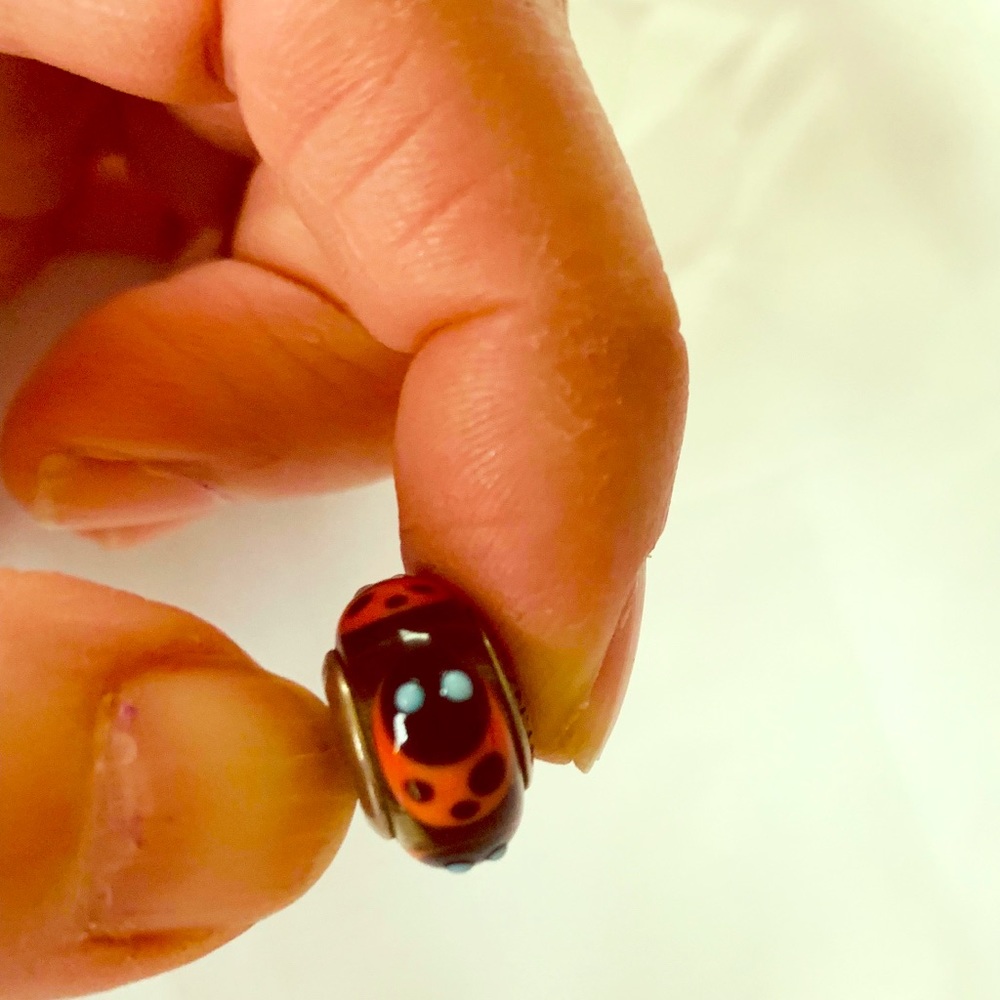 Pandora ladybug charm